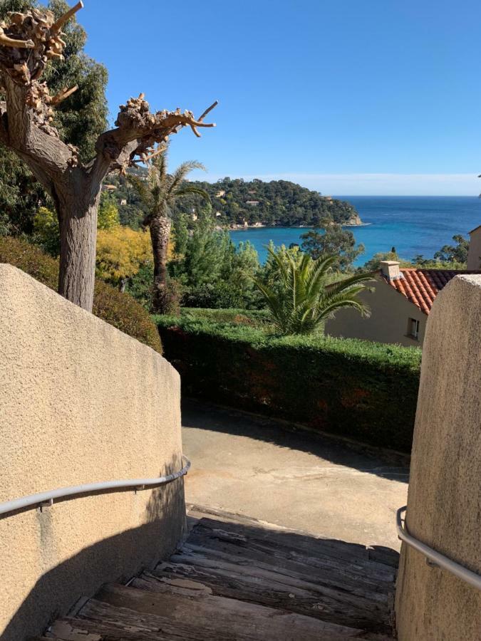 Appartement - Residence Le Paradou Le Le Rayol-Canadel-sur-Mer Eksteriør bilde
