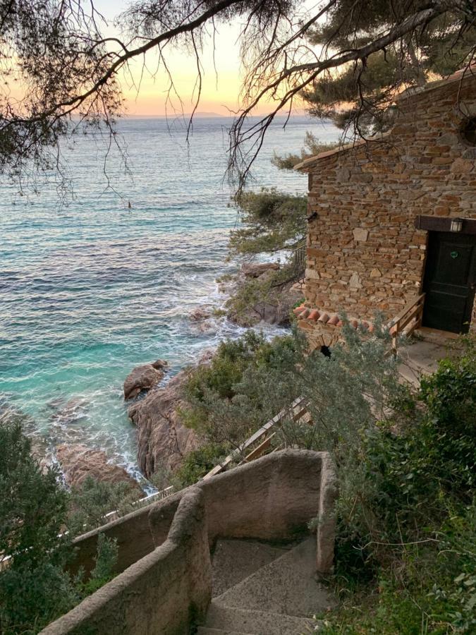 Appartement - Residence Le Paradou Le Le Rayol-Canadel-sur-Mer Eksteriør bilde